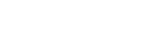 bredent group